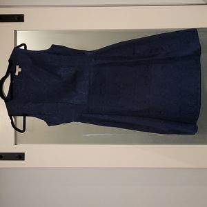 Eva Mendes New York and Company Dress